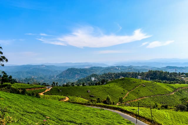Kerala Couple Package